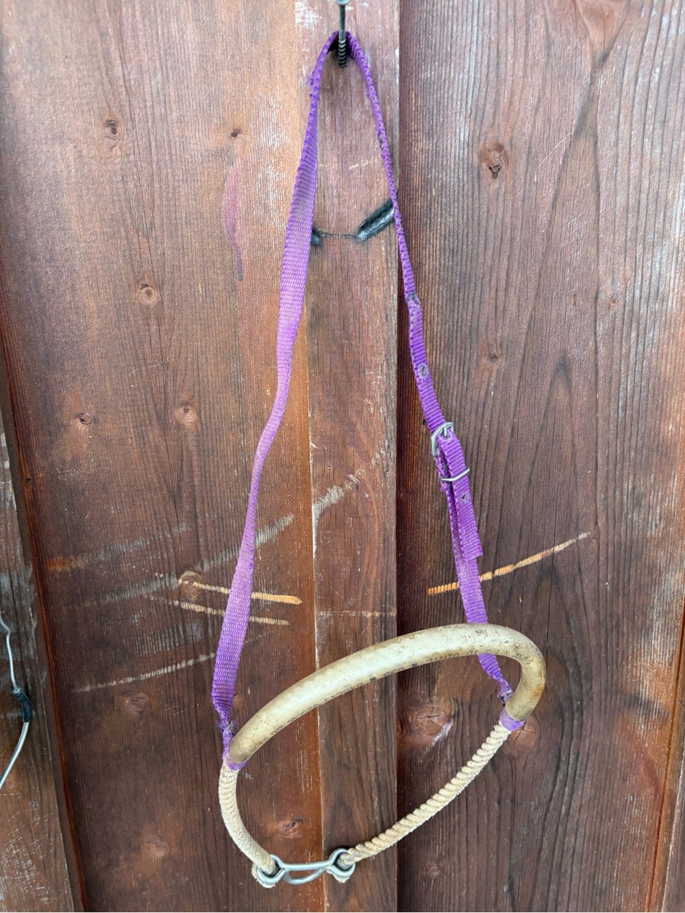 Purple tie down Noseband